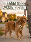 No-Pull Dog Harness - reflective evening walk hero